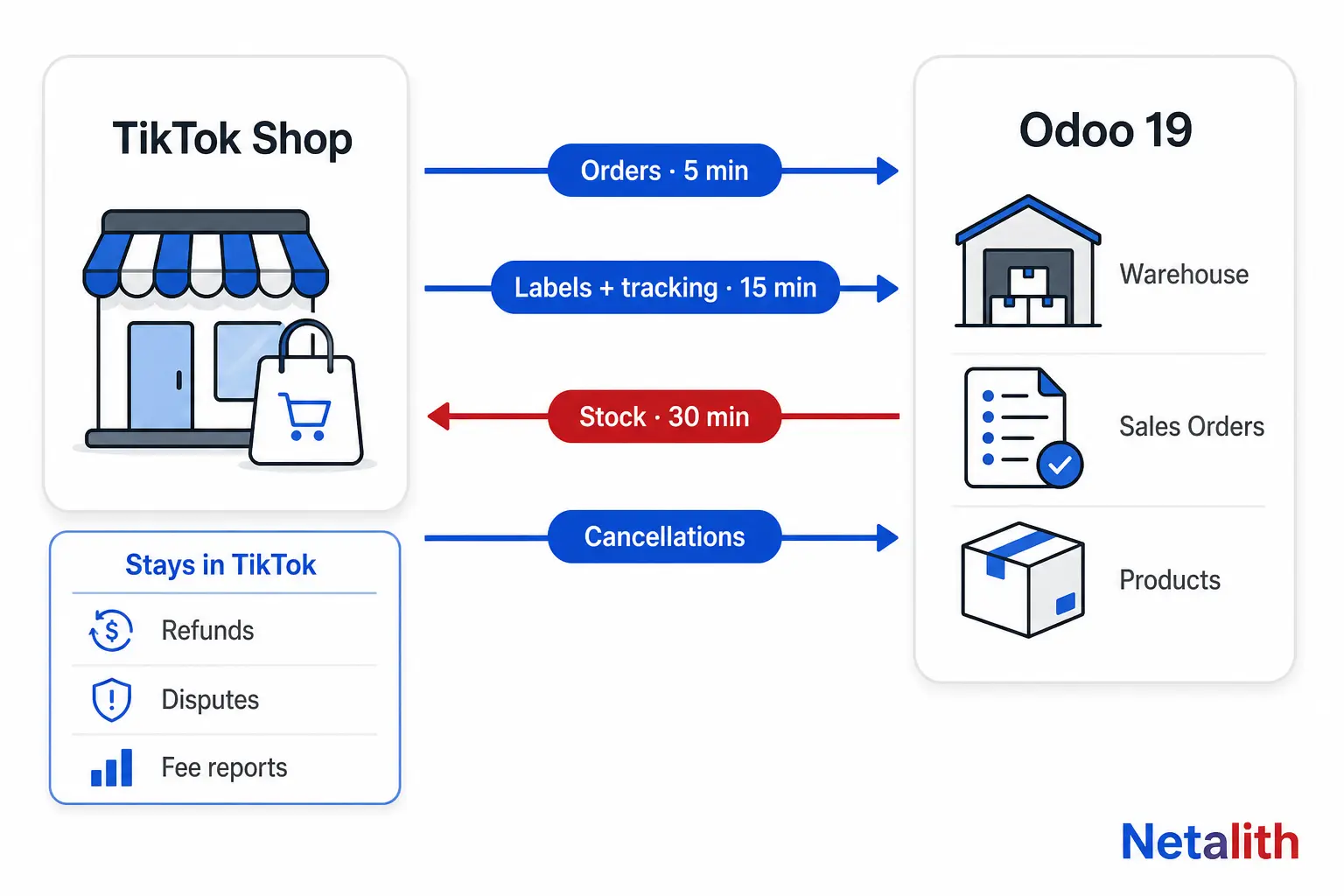 Odoo TikTok Shop integration sync flow: orders reach Odoo every 5 minutes, labels and tracking every 15 minutes, stock is pushed to TikTok Shop every 30 minutes, and refunds, disputes and fee reports stay in TikTok
