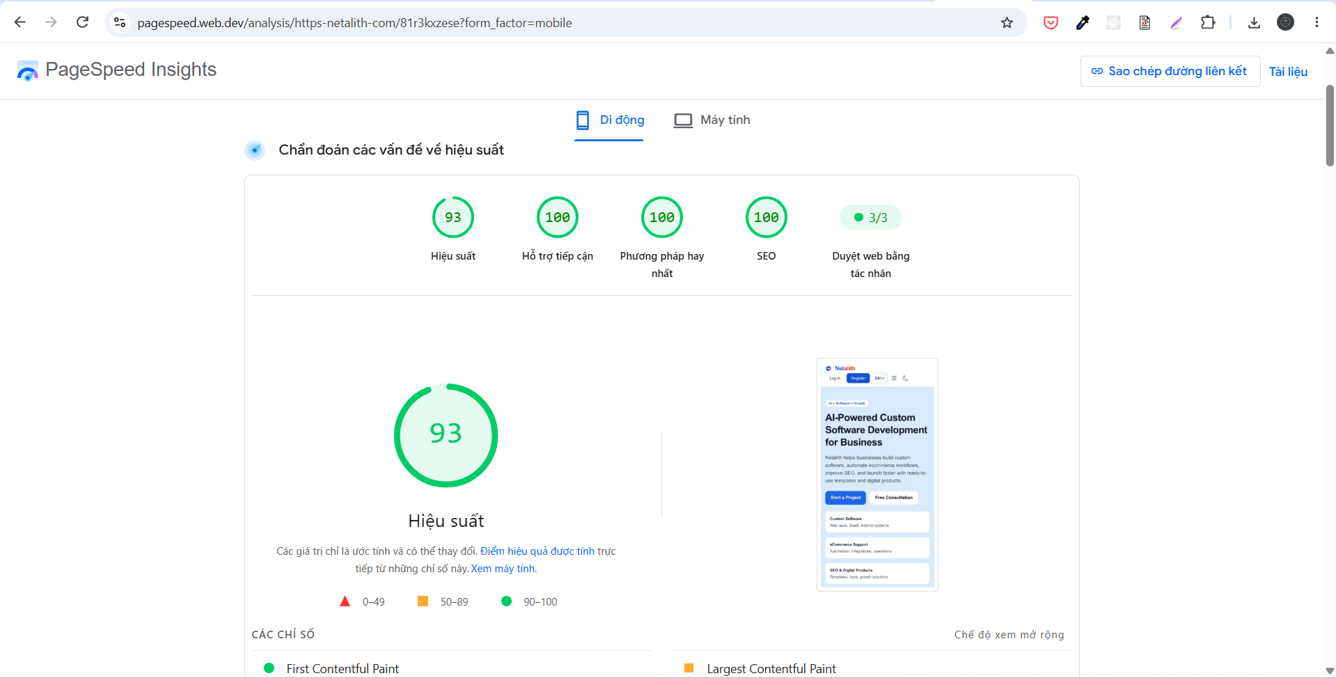 Final PageSpeed Insights results showing 93 Performance, 100 Accessibility, 100 Best Practices, 100 SEO